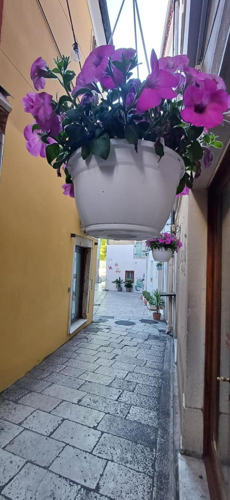 Townhouse Sea View Villa Задар Екстериор снимка